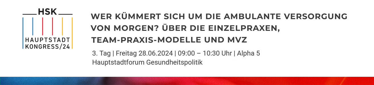 WISO S.E. Consulting